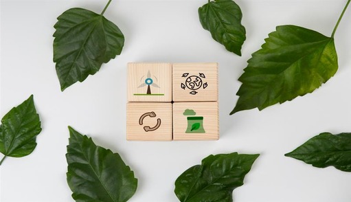 Sustainable Sourcing & ESG Compliance